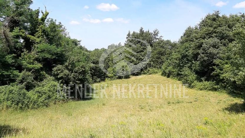 Land, 15000 m2, For Sale, Žminj