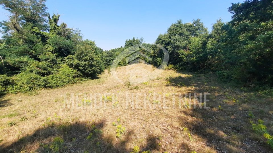 Land, 15000 m2, For Sale, Žminj