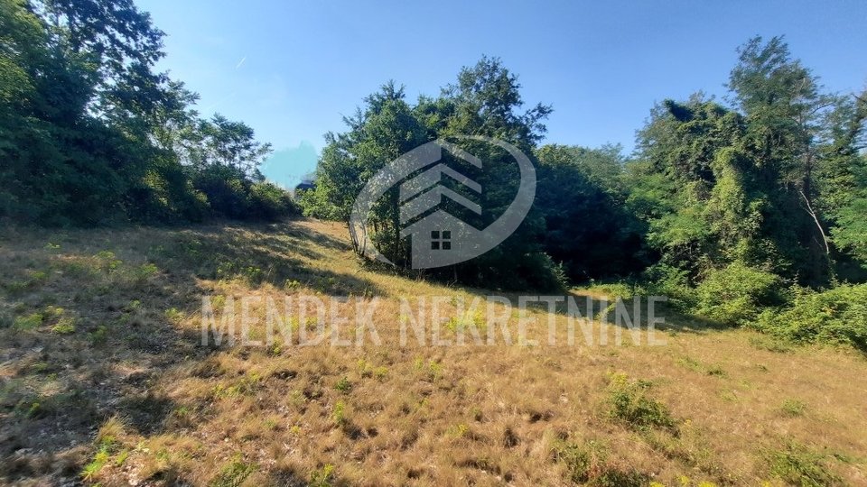 Land, 15000 m2, For Sale, Žminj