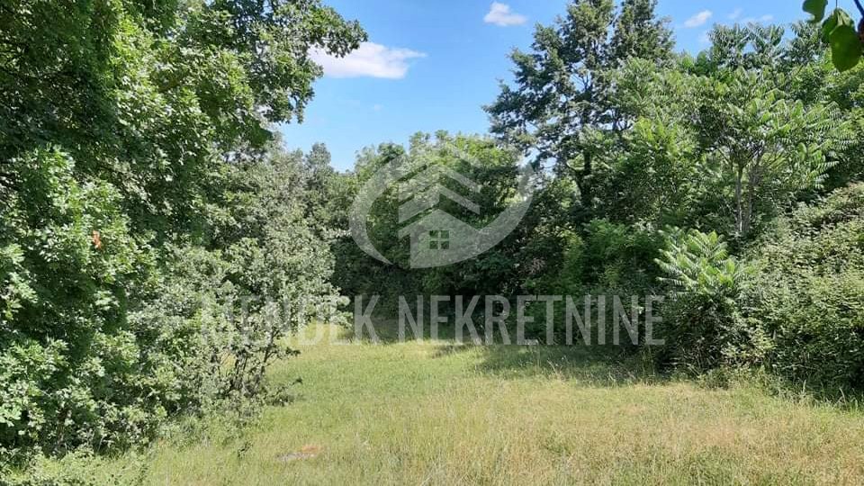 Land, 15000 m2, For Sale, Žminj