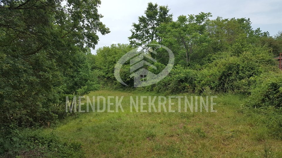 Land, 15000 m2, For Sale, Žminj - Orbanići