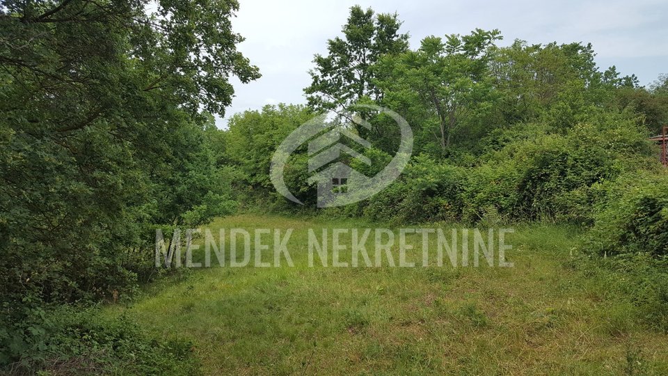 Land, 15000 m2, For Sale, Žminj