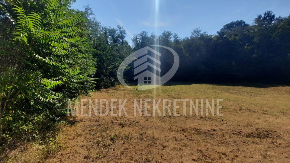 Grundstück, 15000 m2, Verkauf, Žminj - Orbanići