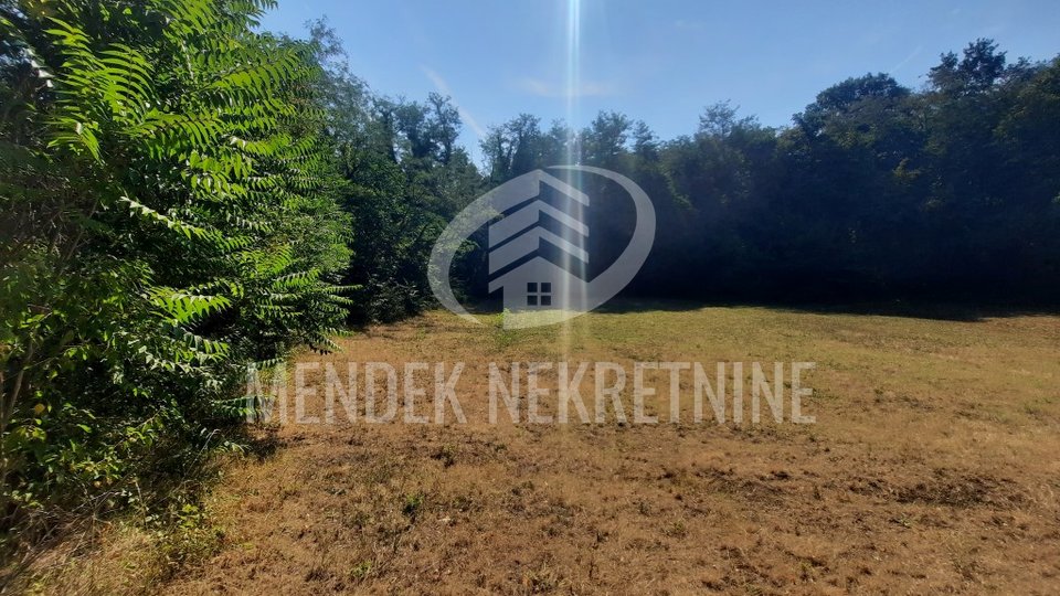 Terreno, 15000 m2, Vendita, Žminj