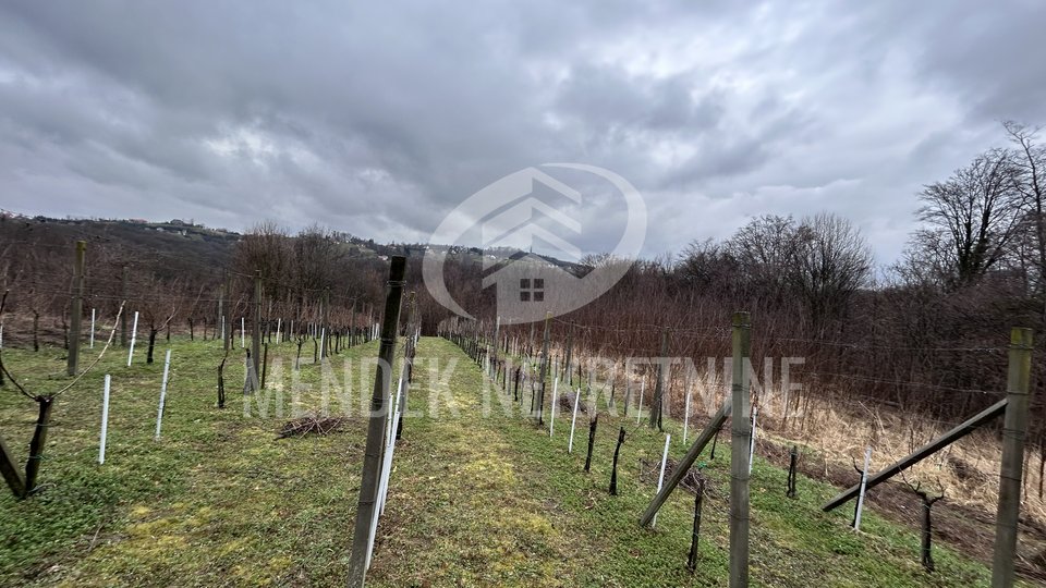 Vikend kuća 120 m2 s vinogradom na parceli ukupno 5000 m2, Leštakovec, prodaja