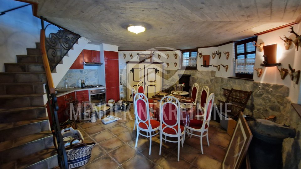 Hiša, 550 m2, Prodaja, Rinkovec