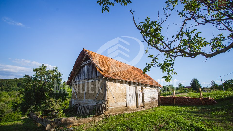 Zemljišče, 43000 m2, Prodaja, Radovan