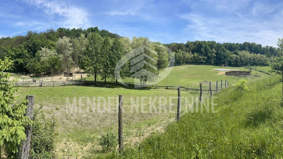 Terreno, 43000 m2, Vendita, Radovan