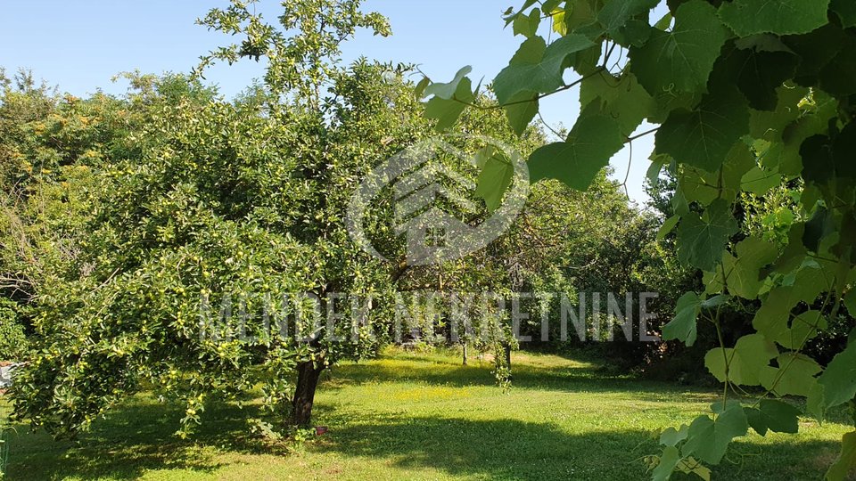 House, 140 m2, For Sale, Žminj