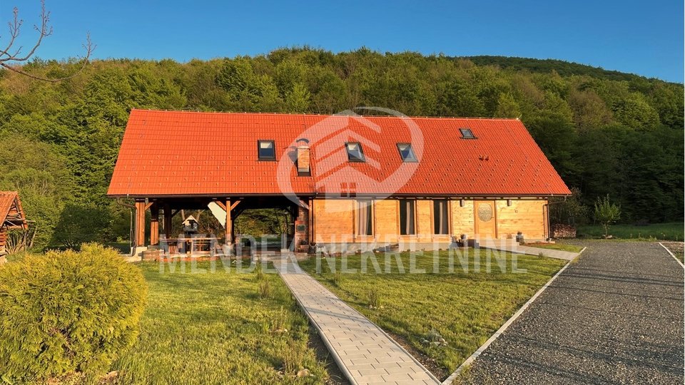 BEAUTIFUL NEW HOUSE WITH AUXILIARY BUILDINGS AND LARGE GARDEN - NEAR IVANAC - CROATIA