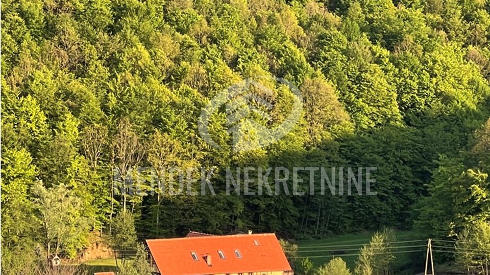 House, 574 m2, For Sale, Ivanec