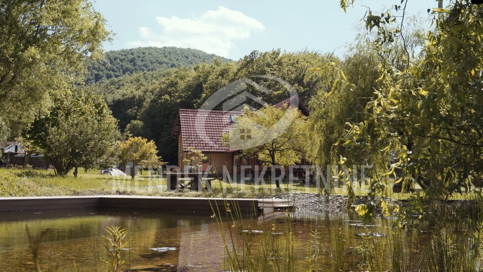 BEAUTIFUL NEW HOUSE WITH AUXILIARY BUILDINGS AND LARGE GARDEN - NEAR IVANAC - CROATIA