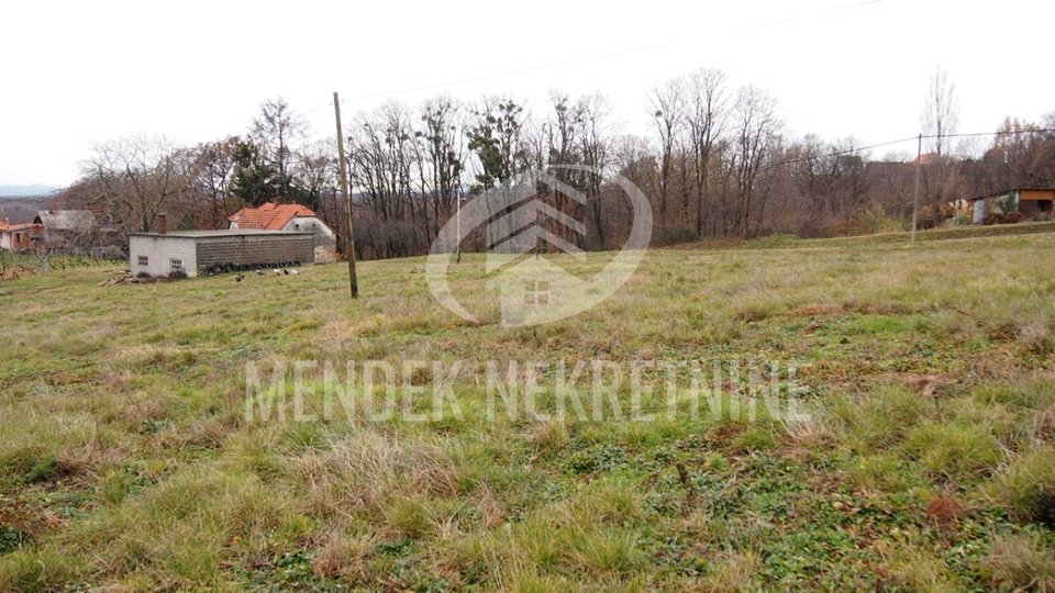 Land, 9800 m2, For Sale, Vukanovec